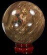 Colorful Petrified Wood Sphere #41955-1